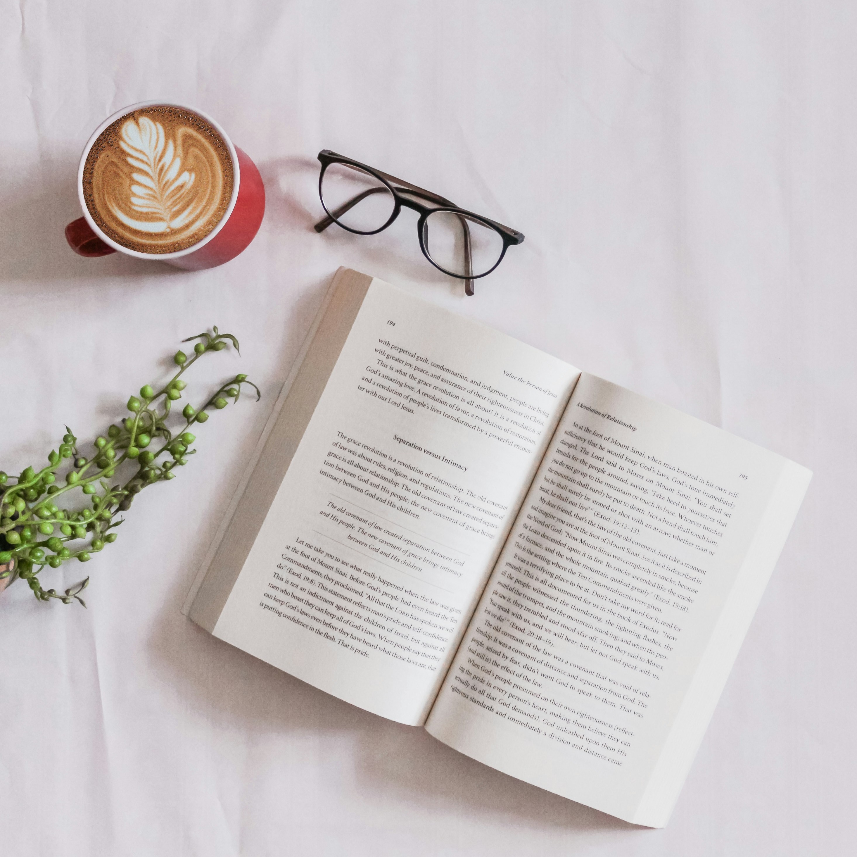 A photo of an open book, a pair of glasses, a cappuccino and a plant on a white sheet.