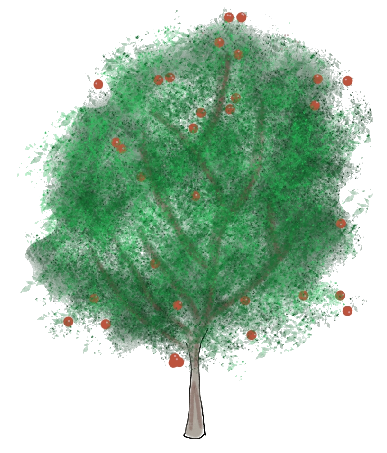 A drawing of a young apple tree with a skinny trunk.