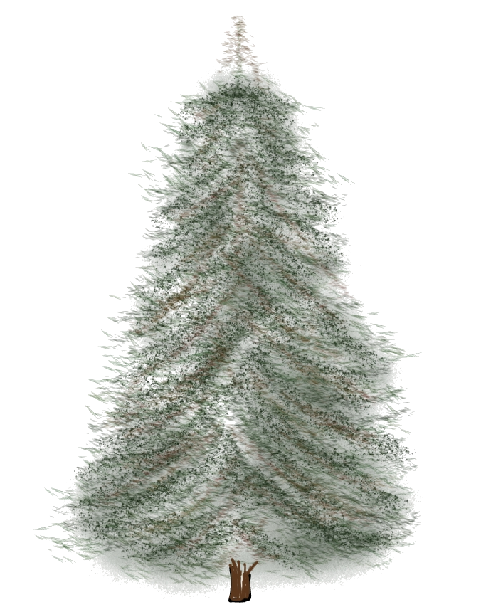 A drawing of a pine tree with a nice triangular shape.