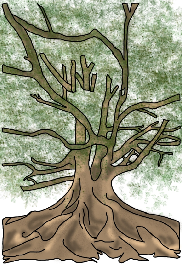 A drawing of a very old tree with large roots.