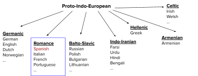 Spanish falls under the Romance group: Spanish, Italian, French, and Portuguese