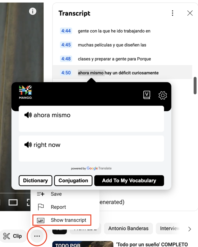 Screenshot showcasing the Mango Reader tool